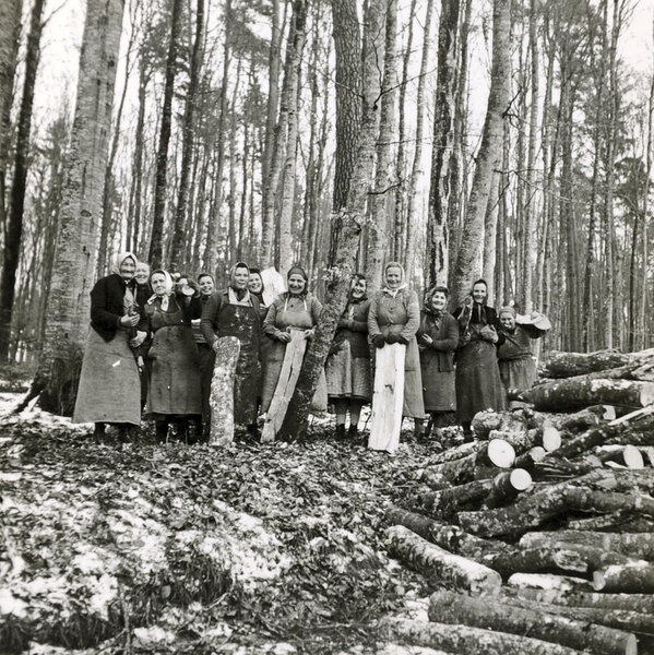 Des femmes préparent du bois de chauffage ; photo Archives de ForêtSuisse