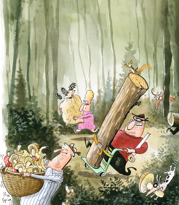Sammeln | © Cartoon: Max Spring / Arbeitsgemeinschaft für den Wald (AfW) Sammeln | © Cartoon: Max Spring / Arbeitsgemeinschaft für den Wald (AfW)